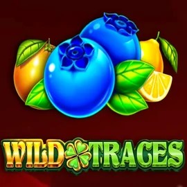 Enjoy Wild Traces by Amusnet Interactive – logo hosted on luckyvibecasino.eu